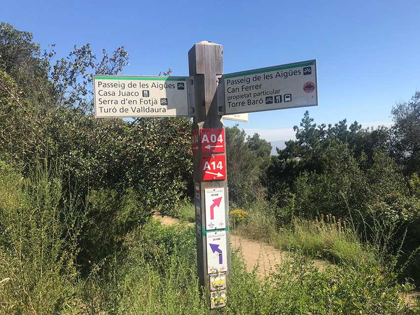04 Caminata Collserola